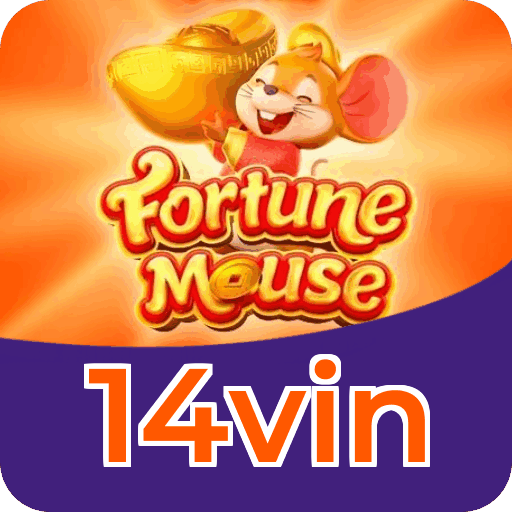 Termos e condições